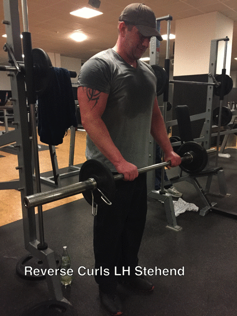 Langhantel Reverse Curls Langhantel Reverse Curls