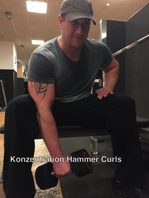 Bizeps Übungen - Konzentrations Curls Hammer Kurzhantel.Bizeps Training , Hanteltraining , Muskelaufbau Bizeps Übungen - Konzentrations Curls Hammer Kurzhantel. Bizeps Training , Hanteltraining , Muskelaufbau
